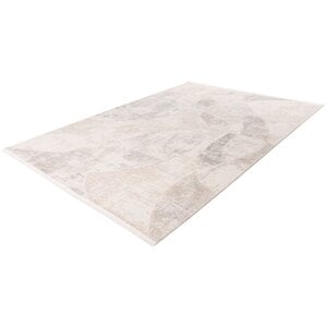 Pierre Cardin Jardin 120x170 cm Vloerkleed Beige/Zilver 703