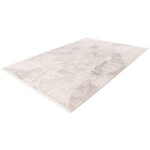 Pierre Cardin Jardin 200x290 cm Vloerkleed Beige/Zilver 703