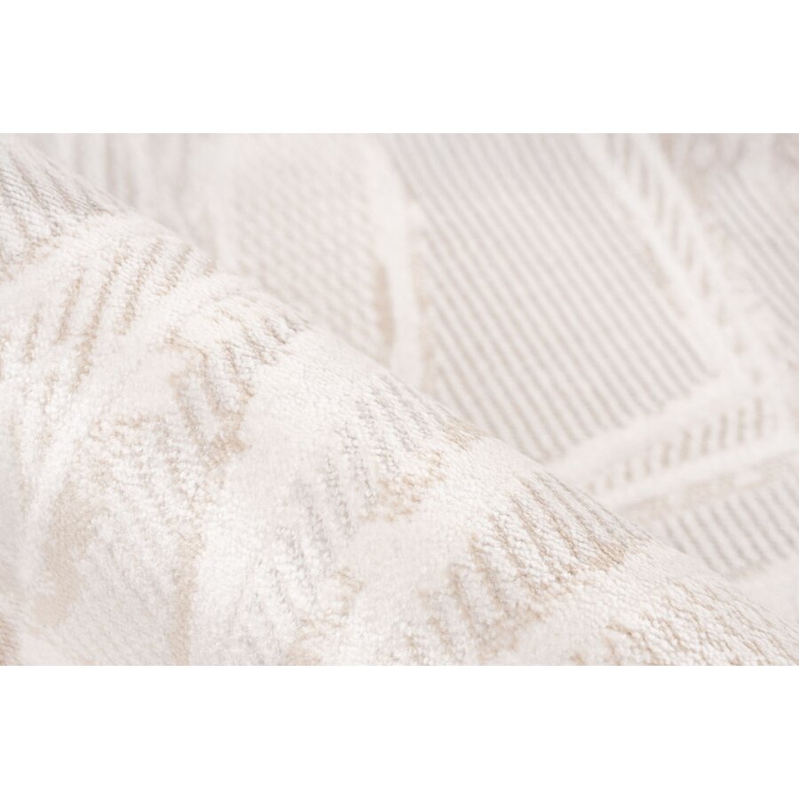 Jardin 200x290 cm Vloerkleed Beige/Zilver 704