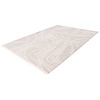 Jardin 200x290 cm Vloerkleed Beige/Zilver 704