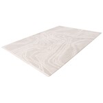 Pierre Cardin Jardin 200x290 cm Vloerkleed Beige/Zilver 704