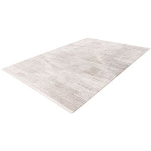 Pierre Cardin Jardin 160x230 cm Vloerkleed Zilver/Ivory 705