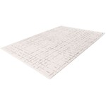 Pierre Cardin Jardin 120x170 cm Vloerkleed Zilver/Ivory 706