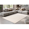 Nancy 200x290 cm Vloerkleed Beige/Ivory 501