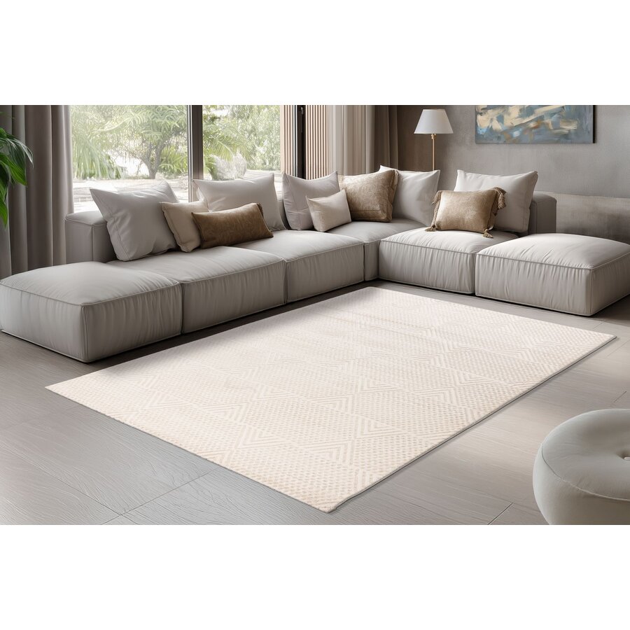 Nancy 200x290 cm Vloerkleed Beige/Ivory 501