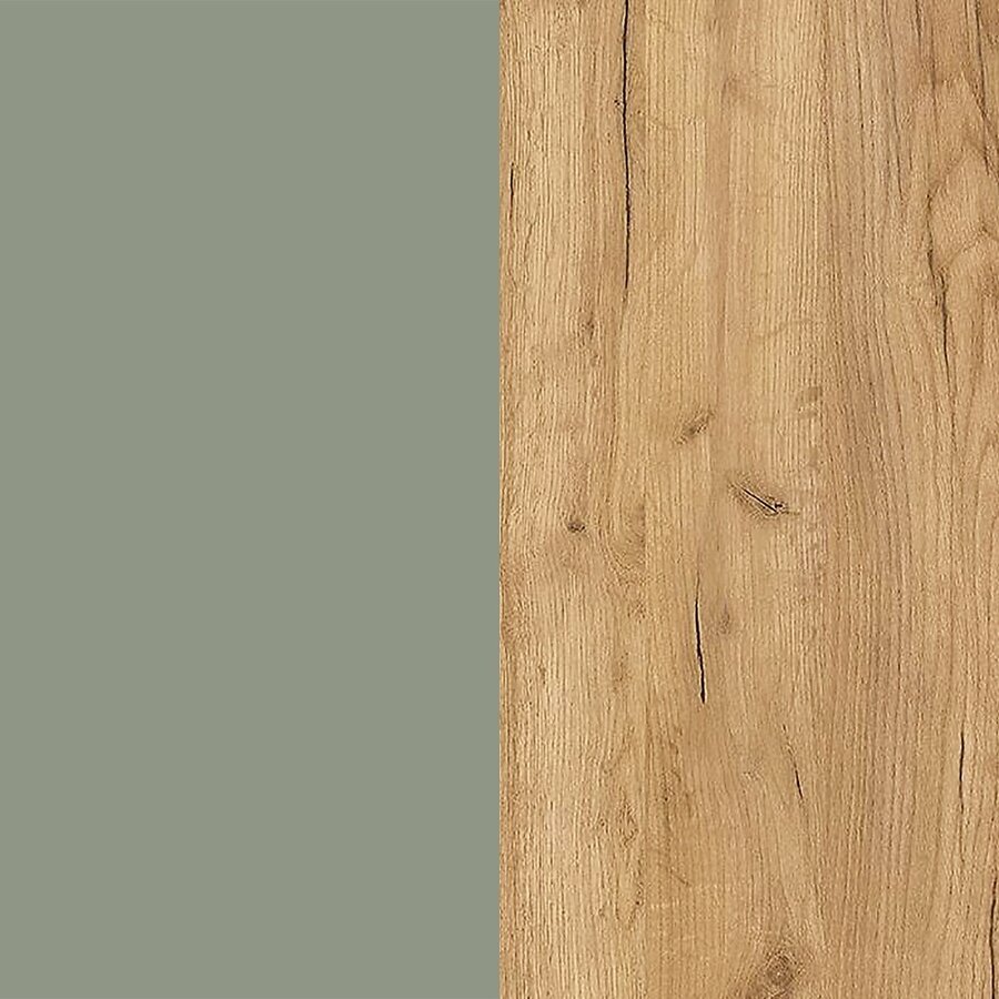Ameca Taupe Groen / Eiken Schoenenkast 2-Kleppen W100 cm