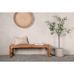 Hjem Interiors Kenya Teak Halbank 150 cm