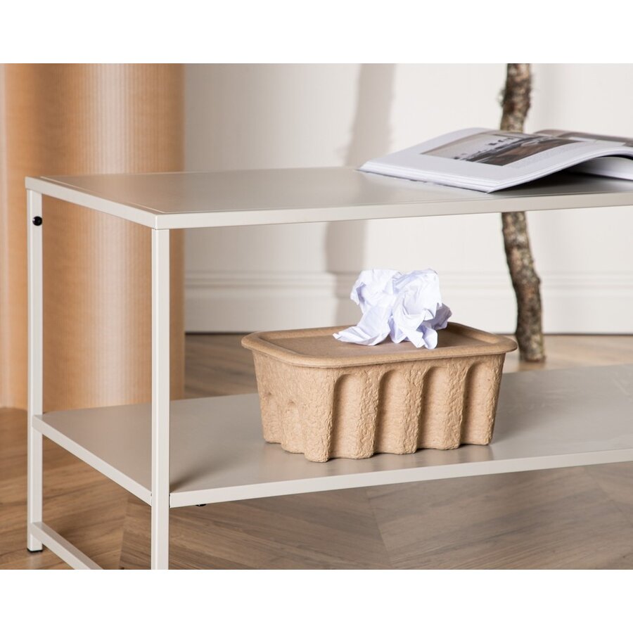 Staal Beige Salontafel Rechthoek