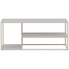 Staal Beige Salontafel Rechthoek 120x50 cm