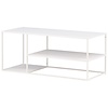Staal Witte Salontafel Rechthoek 120x50 cm