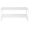 Staal Witte Salontafel Rechthoek