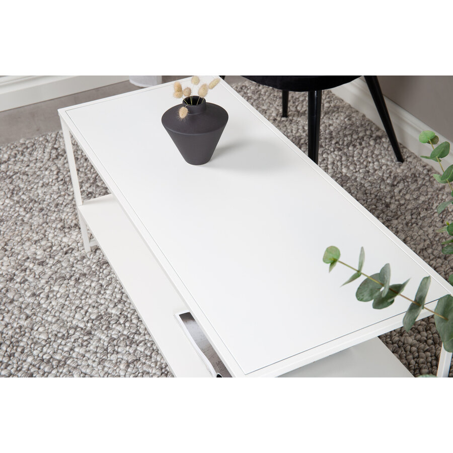 Staal Witte Salontafel Rechthoek