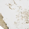 Athens Keramiek Eettafel Uitschuifbaar Ø120 - 200 cm Athens Keramiek Eettafel Uitschuifbaar Ø120 - 200 cm