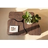 Nordland Mocha Salontafel Set van 3 Nordland Mocha Salontafel Set van 3