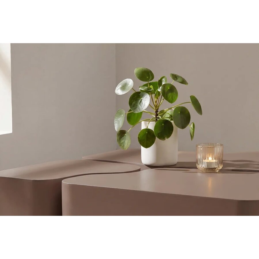 Nordland Bruin Salontafel Set van 3 Hjem Interiors Nordland Bruin Salontafel Set van 3