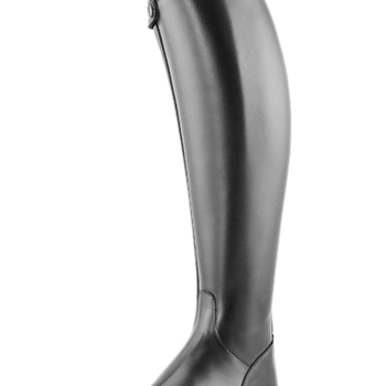 Petrie Bergamo Dressage