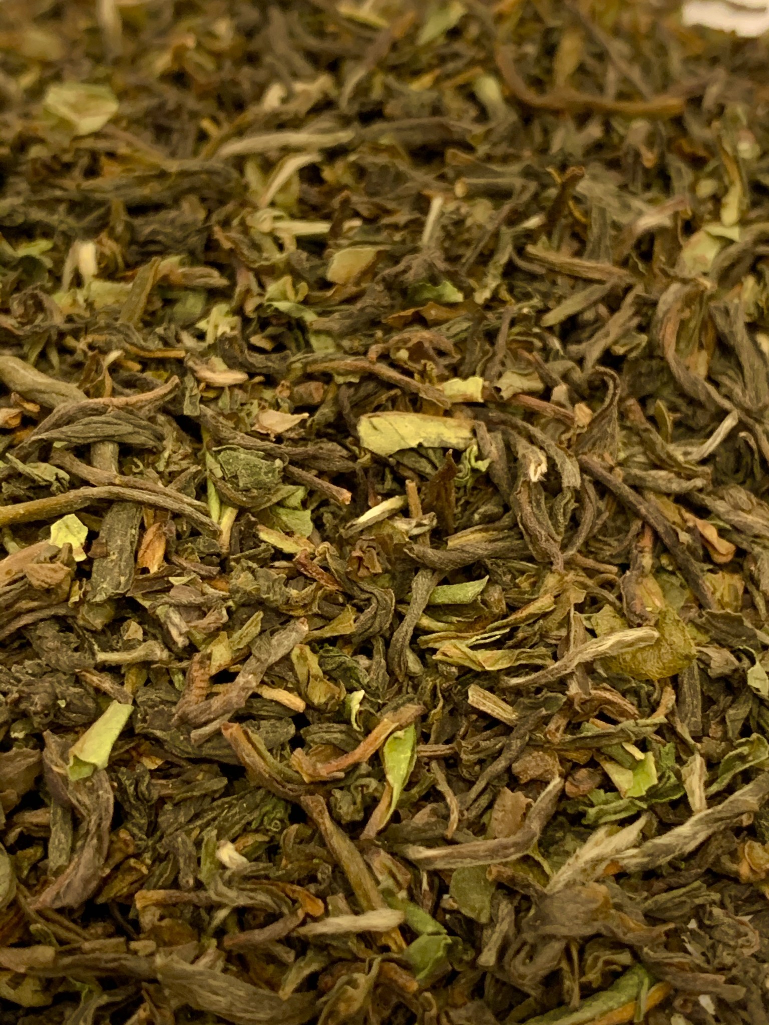 Imperial Garden Darjeeling