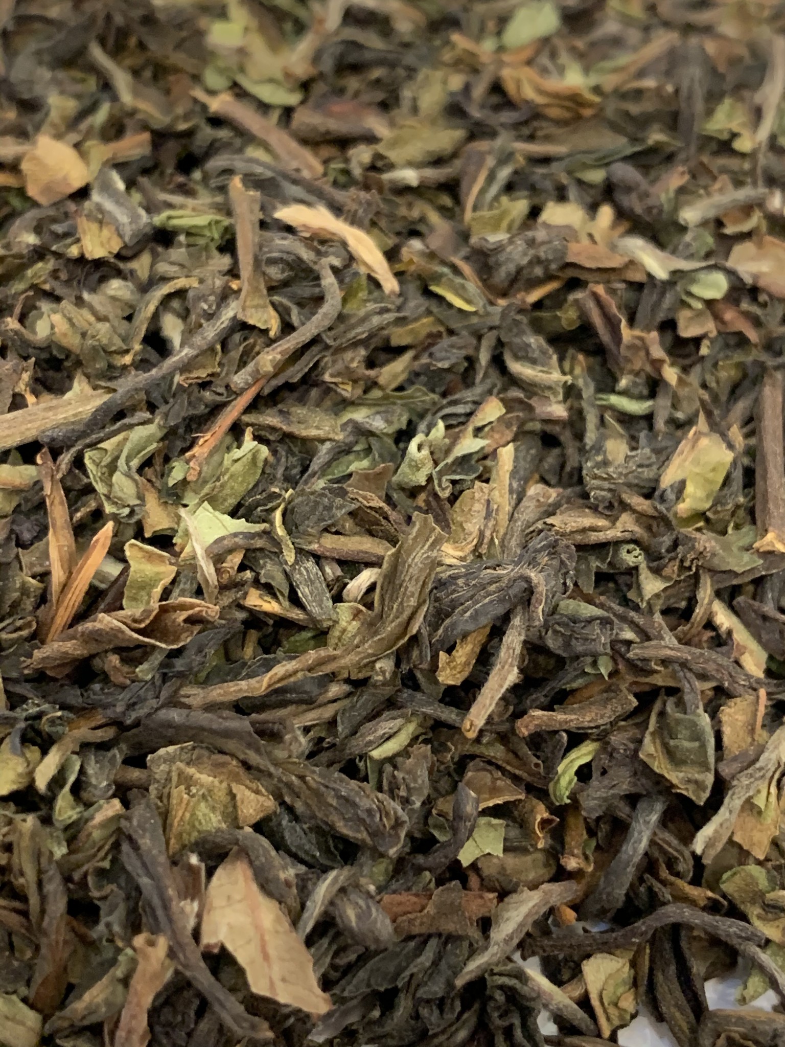 Darjeeling Thurbo