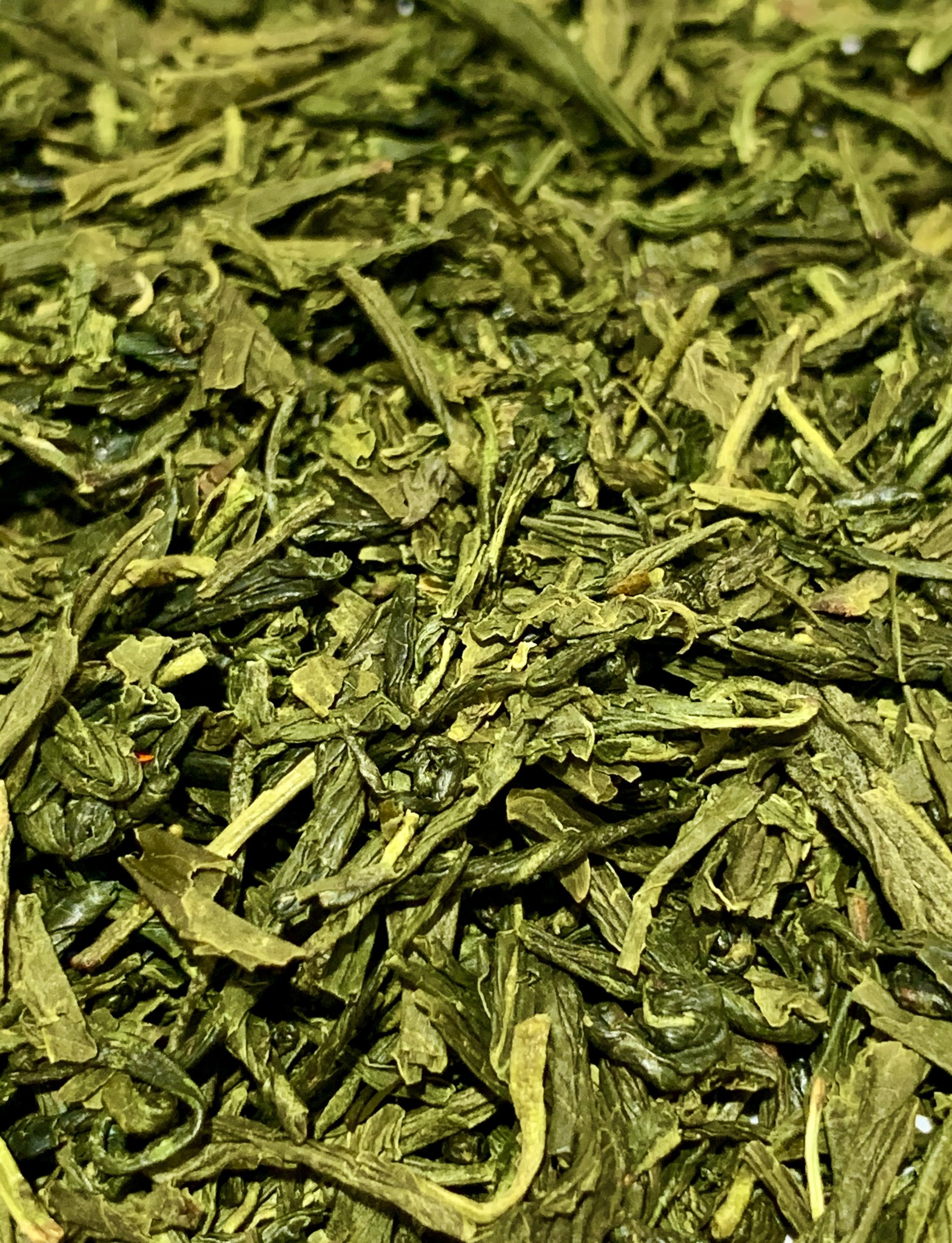 Sencha Yellow