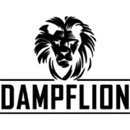 Dampflion Aromen