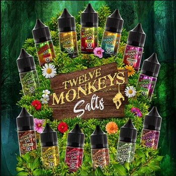 TWELVE MONKEY´S