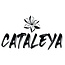 Cataleya Cataleya  – Prefilled Pod 1er Pack – 2ml 20mg NicSalt