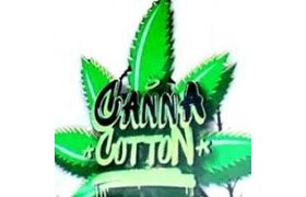 Canna Cotton