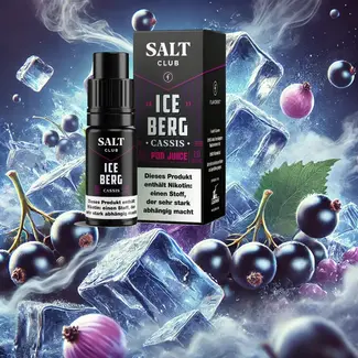 Flavorist Salt Club - Flavorist Iceberg -Cassis- Nikotinsalz Liquid