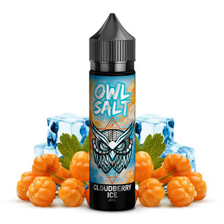 OWL OWL SALT Cloudberry Ice Aroma 10 ml Longfill