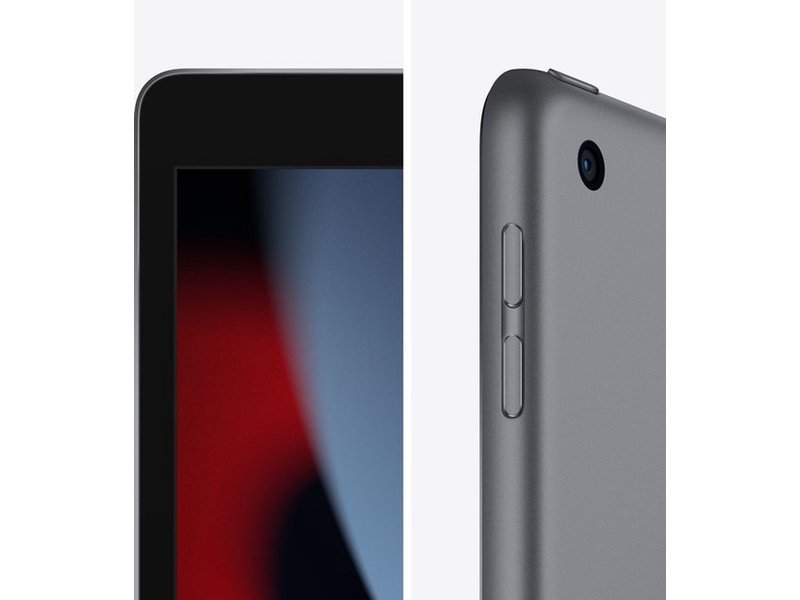 Apple iPad 2021 256GB Wifi+4G Gray