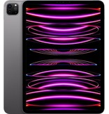 Apple iPad Pro (2022) 12.9 256GB Wifi A2436 Space Gray
