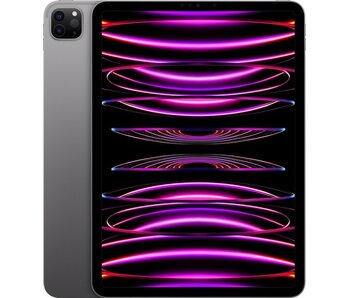 Apple iPad Pro (2022) 12.9 256GB Wifi A2436 Space Gray