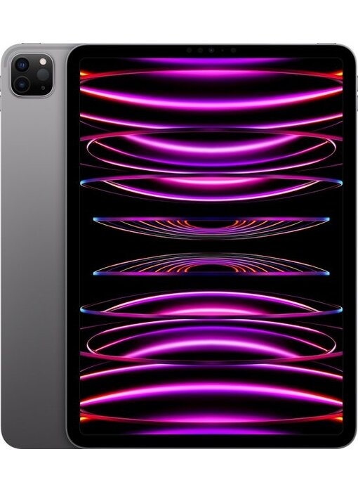 Apple iPad Pro (2022) 12.9 256GB Wifi A2436 Space Gray