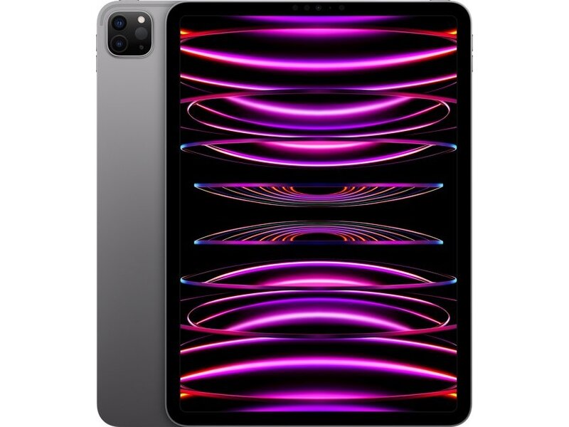 Apple iPad Pro (2022) 12.9 256GB Wifi A2436 Space Gray