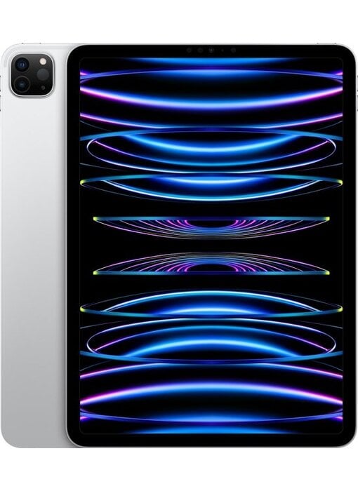 Apple iPad Pro (2022) 12.9 256GB Wifi A2436 Silver