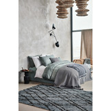 Housse de couette PURITY 79 Vert Fumé 240x220 cm (lin / coton) PUCO16179