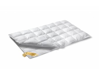 ASTRO 90 dekbed 4 seizoenen (dons)