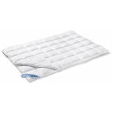 Couette 4 saisons 65% duvet VANDYCK duo (BE015 621)