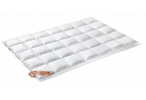Duvet EXCELLENT 95 (type 650 down)