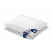 Vandyck Pillow PURE NATURE 90 (3-room)