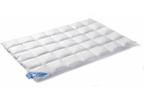 VANDYCK 65 dekbed (dons)