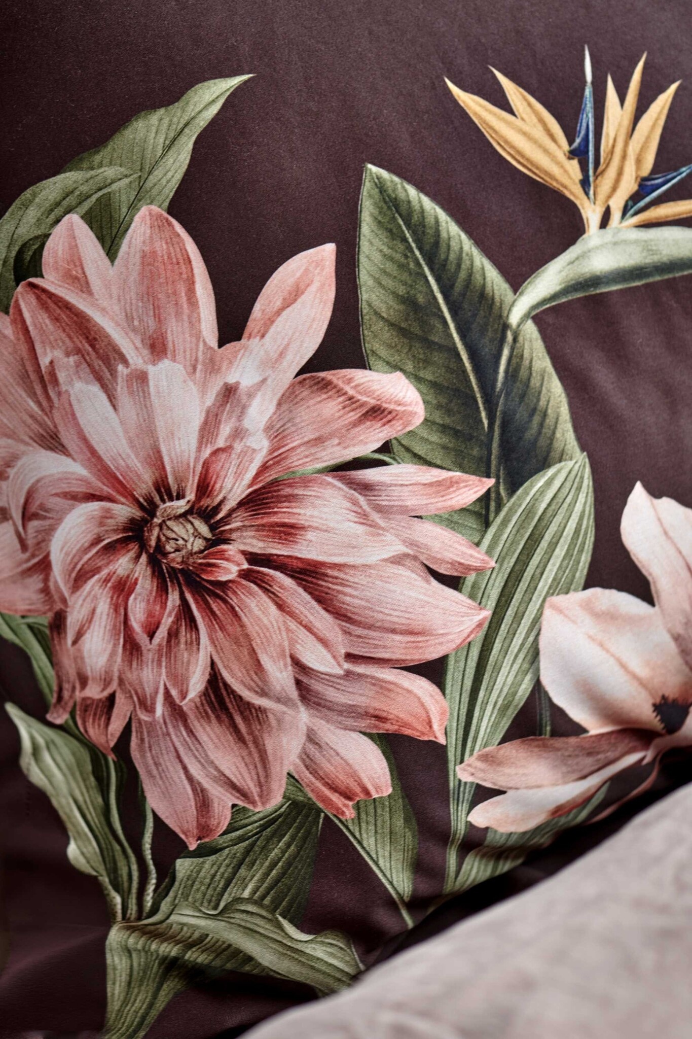 Vandyck PARADISE BLOOM duvet cover Dark Chocolate 200x220 cm