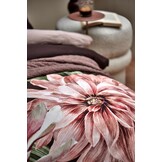 Vandyck PARADISE BLOOM dekbedovertrek Dark Chocolate 240x220 cm