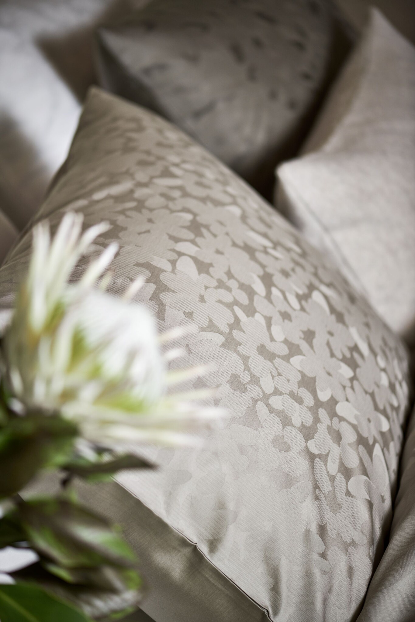 Housse de couette PURITY SANREMO Thym 140x220 cm