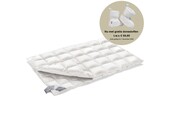 Duvet 4 seasons SUPERIOR 100 (down)