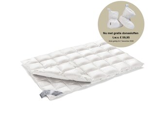 Duvet 4 seasons SUPERIOR 100 (down)