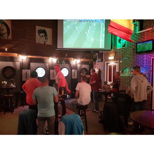 Dartring verlichting met LED XL Diverse kleuren Dartring verlichting met LED XL Diverse kleuren