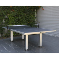 BUFFALO Cornilleau table tennis top outdoor gray