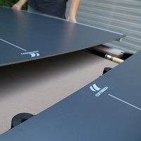 BUFFALO Cornilleau table tennis top outdoor gray