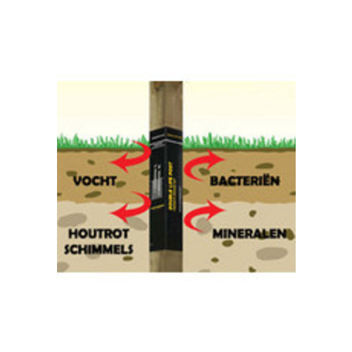 Kastanje Kastanjehout schommel Baloo